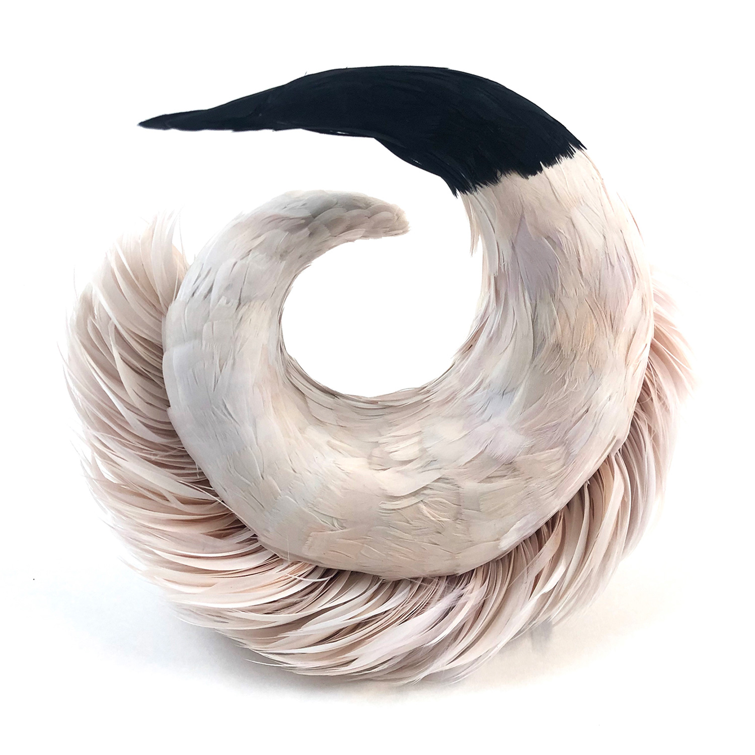 Anna Lewis  Pink Feather Arm Piece