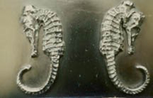 JHHG seahorses