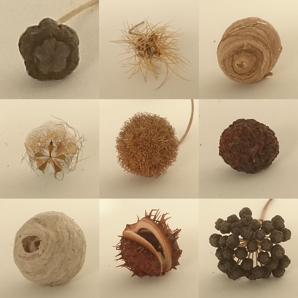 Round Ann Marie Shillito