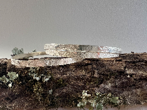 Image 3 Image 3