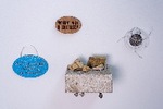 Jo Lally
