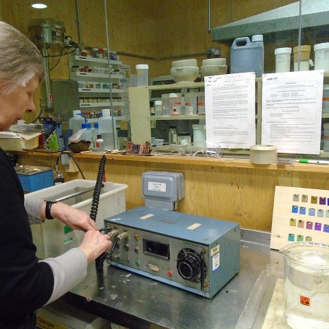 LynneBartlettcolouringTitanium