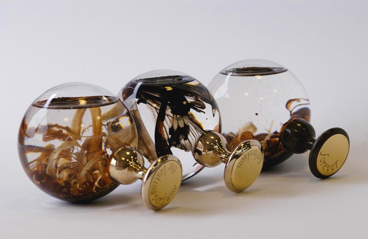 Abigail Stradling: Time Ring Series