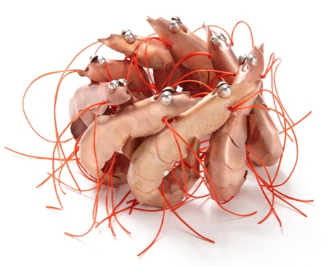 David Bielander - Scampi